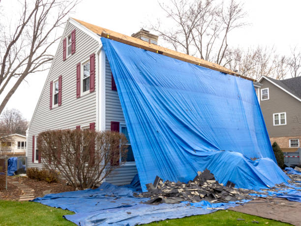 Best Fascia and Soffit Installation  in Forest Hills, TN